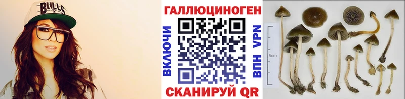 Галлюциногенные грибы прущие грибы  Купить  Кяхта 